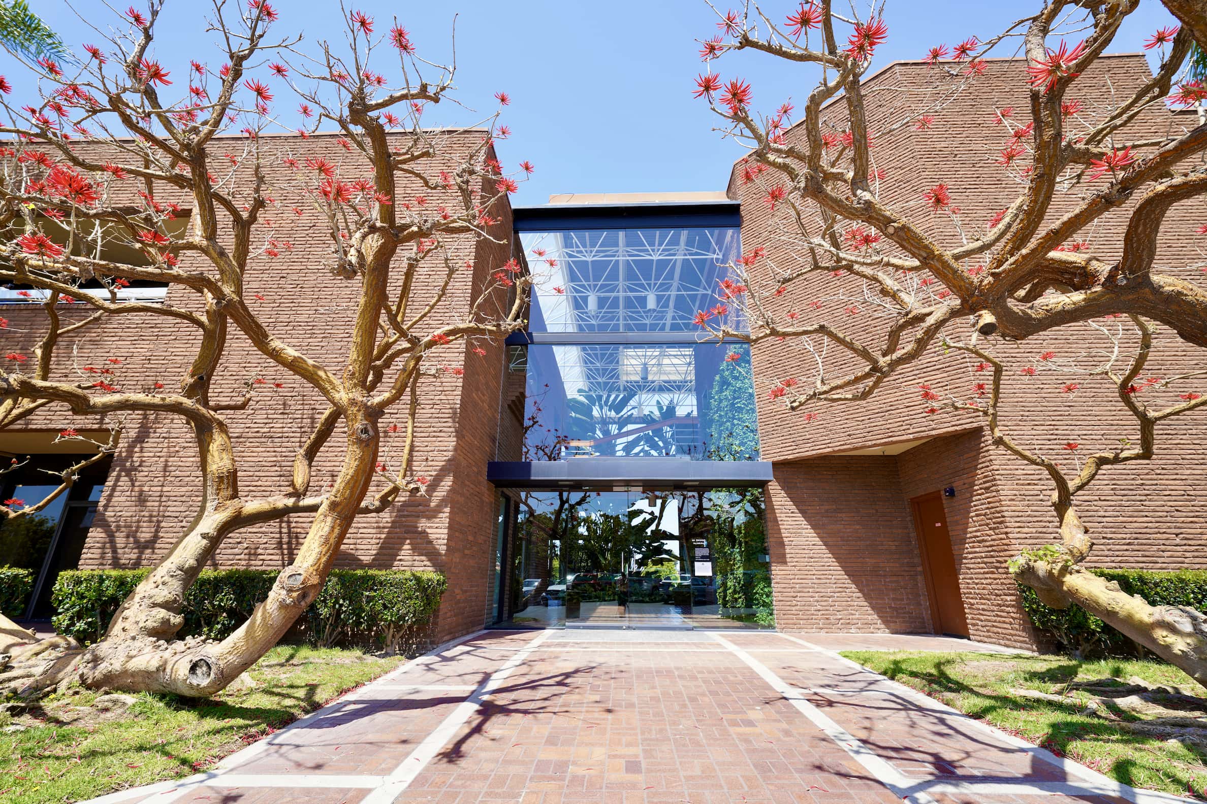 Newport Beach · office